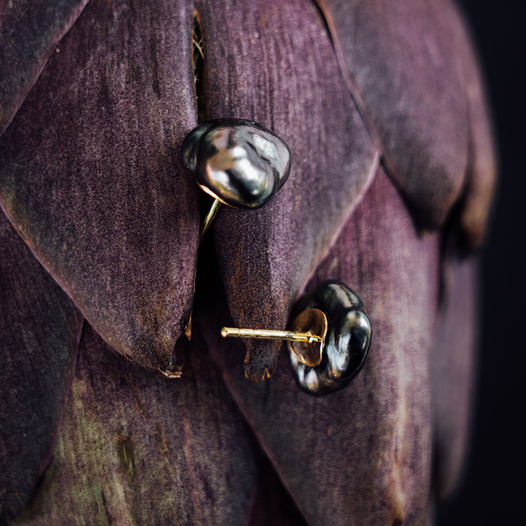 Ohrstecker mit schwarzen Tahiti-Keshi-Zuchtperlen mit Gelbgold auf einer Artischoke